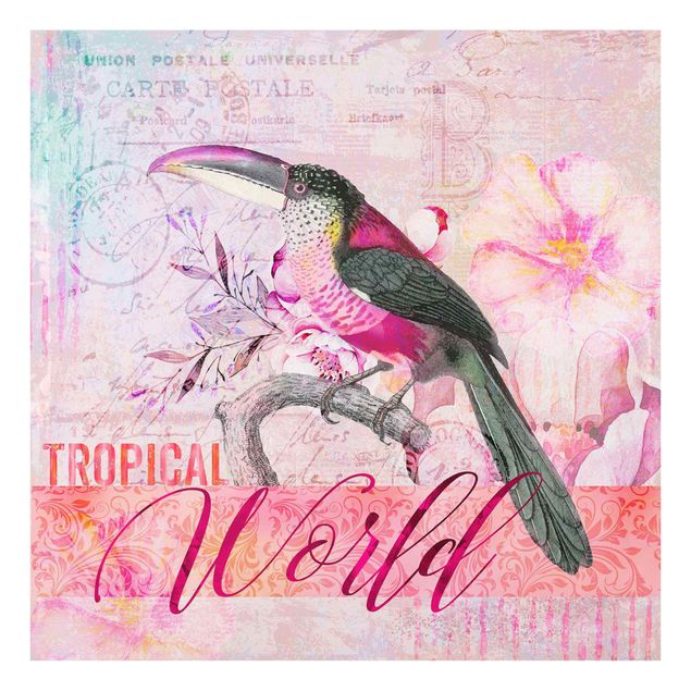 Tableaux de Andrea Haase Collage vintage - Monde Tropical Tucan