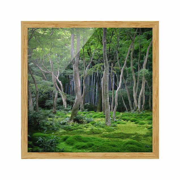 Affiches encadrées paysage Forêt japonaise