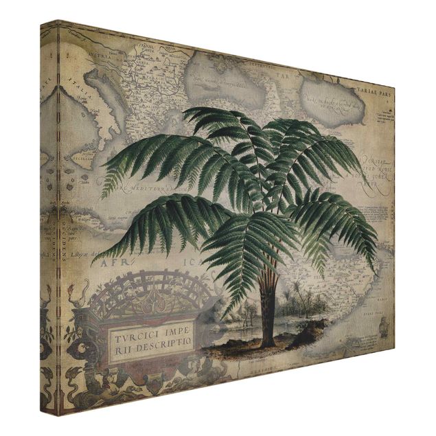 Tableaux mappemonde Collage Vintage - Palmier et carte du monde