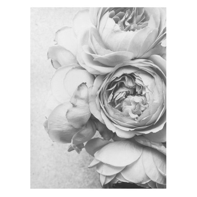 Tableaux sur toile en noir et blanc Fleurs de Pivoine Noir et Blanc