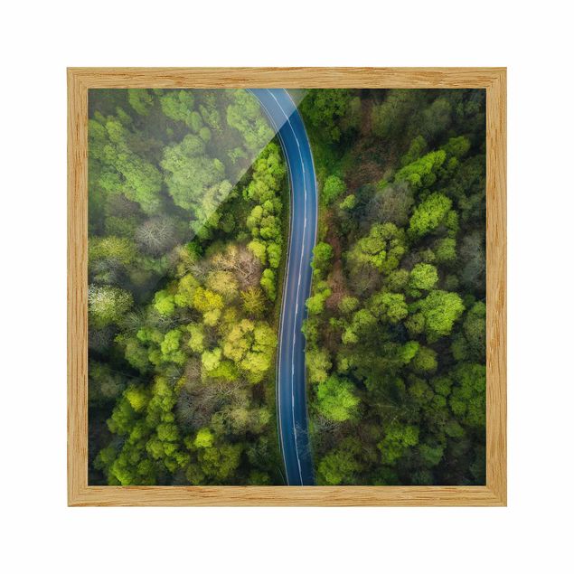 Tableaux encadrés paysage Vue aérienne - Route asphaltée dans la forêt