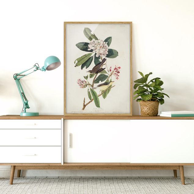 tableaux floraux Tableau Botanique Warbler