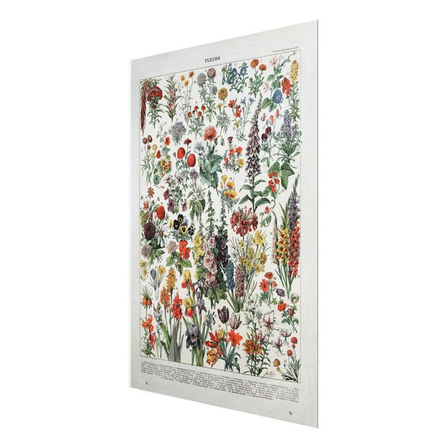 Tableau multicolor Tableau Vintage des Fleurs IV