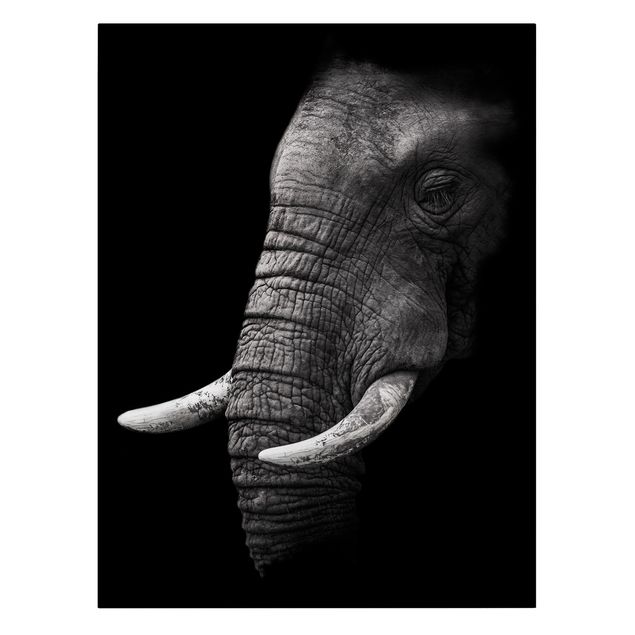 Tableaux sur toile en noir et blanc Portrait d'éléphant sombre
