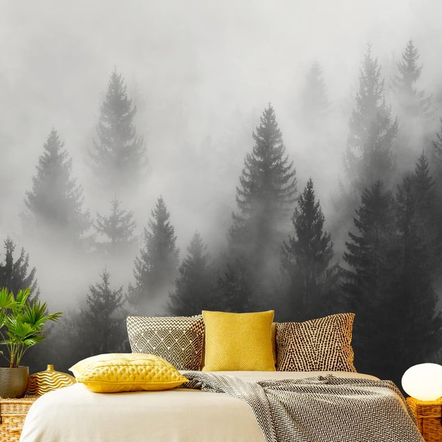 Papiers peints modernes Forêt de conifères dans le brouillard Noir et blanc