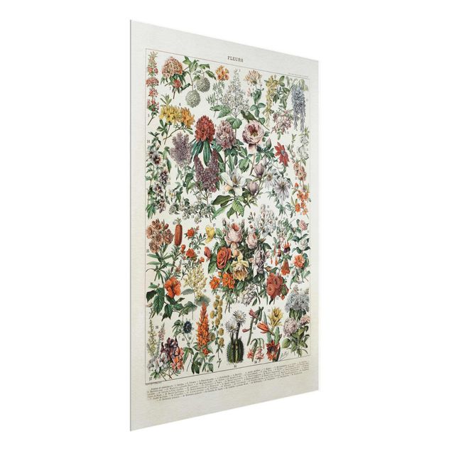 tableaux floraux Tableau Vintage des Fleurs II