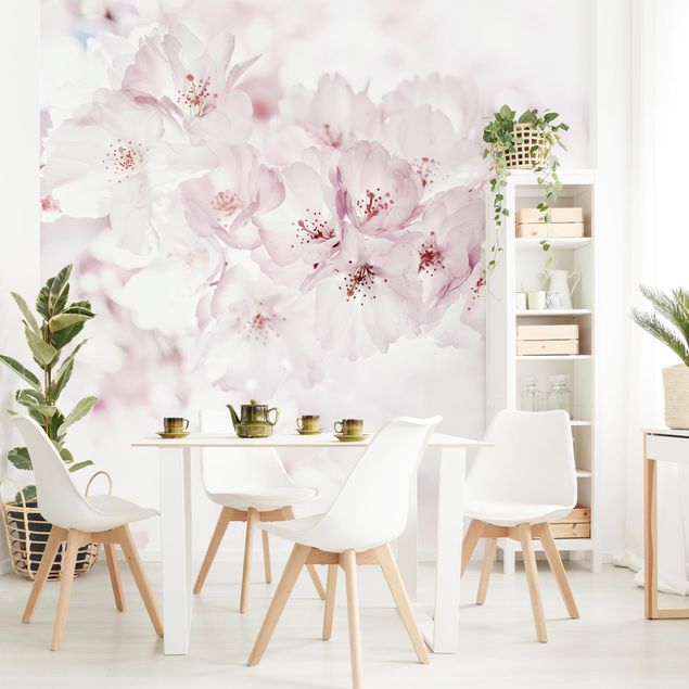 Déco murale cuisine A Touch Of Cherry Blossoms
