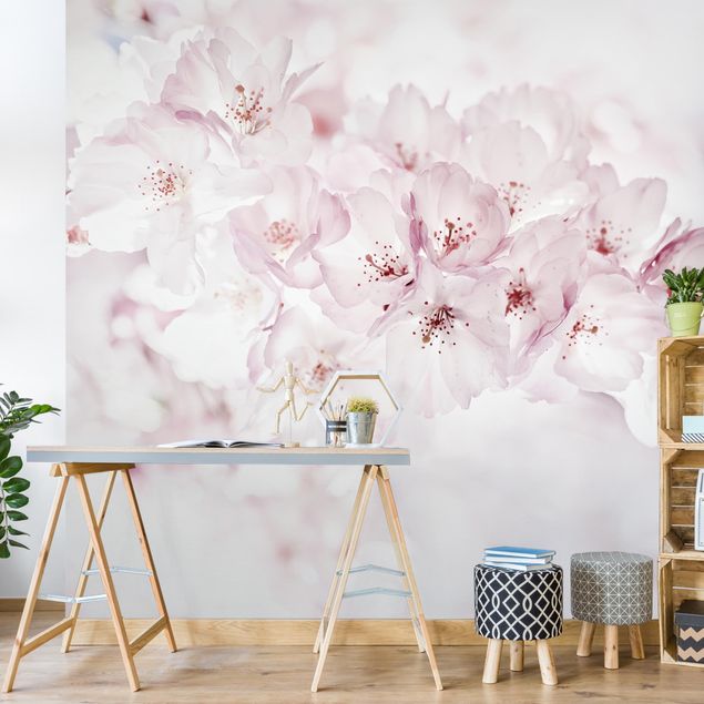Papier peint campagne chic A Touch Of Cherry Blossoms