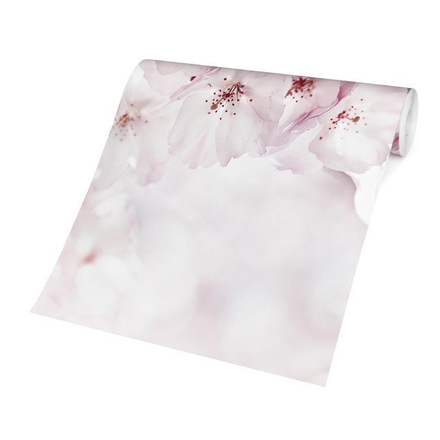 Papiers peints rose A Touch Of Cherry Blossoms