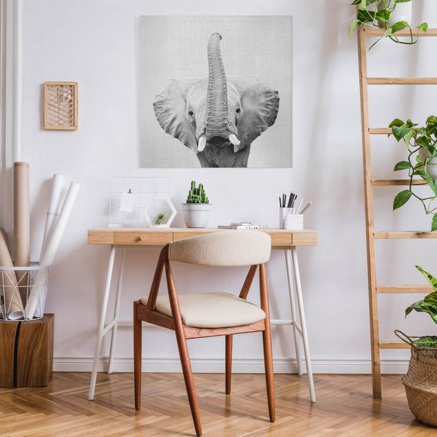 Toile imprimee elephant Elephant Ewald Noir et Blanc