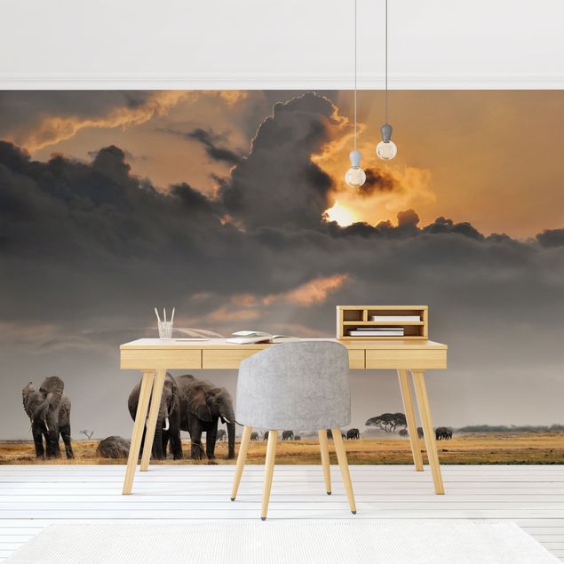 Papier peint Afrique Eléphants dans la savane