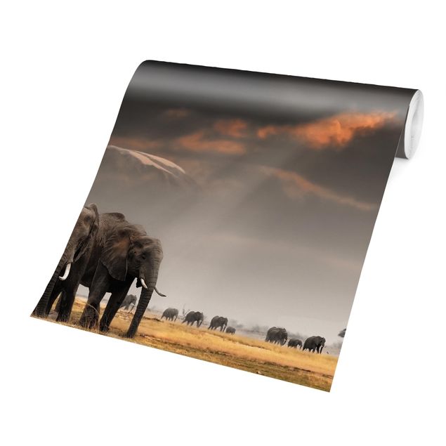Papier peint animaux Eléphants dans la savane