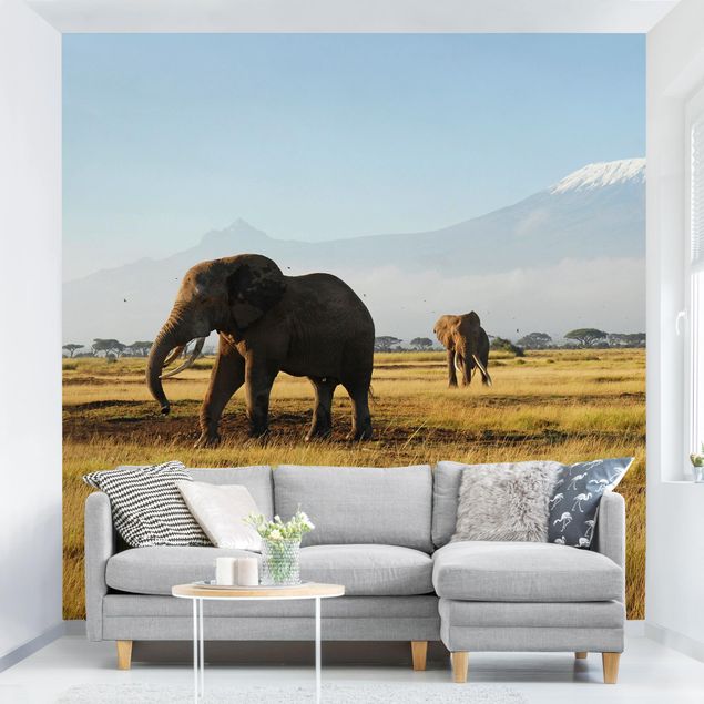 Papiers peints montagne Eléphants devant le Kilimandjaro au Kenya