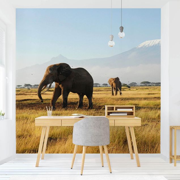 Papier peint animaux savane Eléphants devant le Kilimandjaro au Kenya