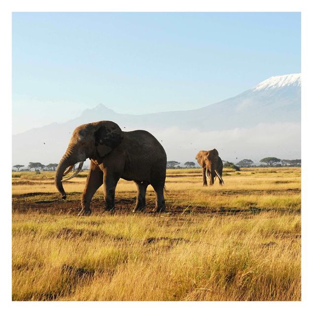 Tapisserie animaux Eléphants devant le Kilimandjaro au Kenya