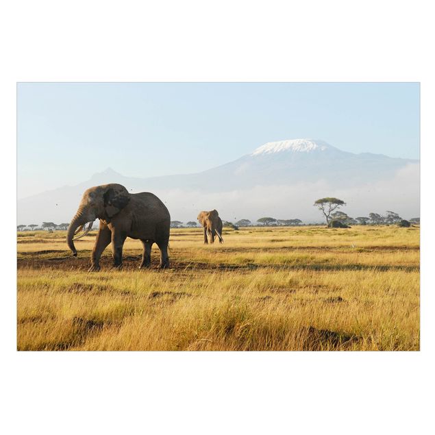 Stickers fenêtre animaux Elephants In Front Of The Kilimanjaro In Kenya