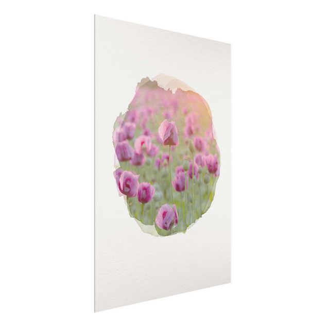 Tableau coquelicot Aquarelles - Champ de coquelicots violets au printemps