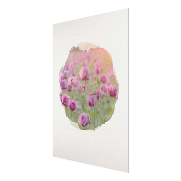 Tableau moderne Aquarelles - Champ de coquelicots violets au printemps