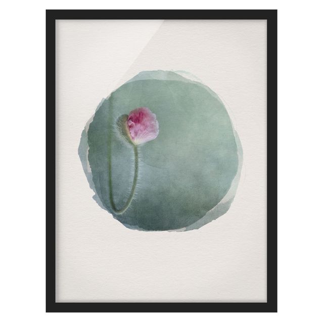 tableaux floraux Aquarelles - Fleur en rose