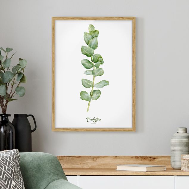 Tableaux encadrés fleurs Botanique à l'aquarelle Eucalyptus