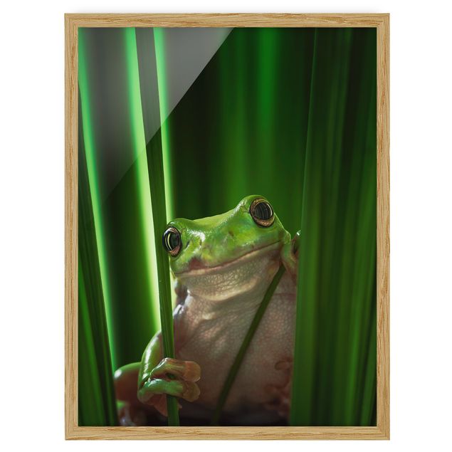 Tableaux animaux Merry Frog