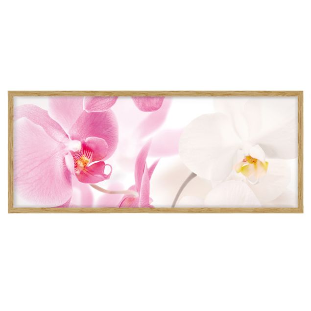 Tableaux encadrés fleurs Orchidées délicates