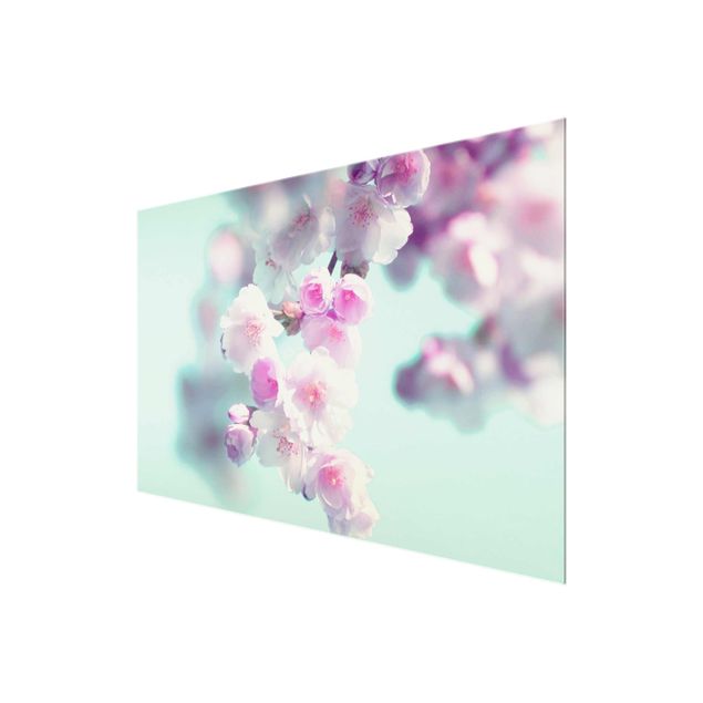 Tableau décoration Fleurs de cerisier colorées