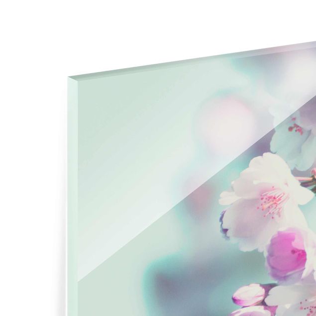 Tableaux en verre magnétique Fleurs de cerisier colorées