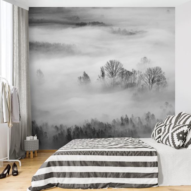 Papier peint forêt Brouillard au lever du soleil Noir et blanc