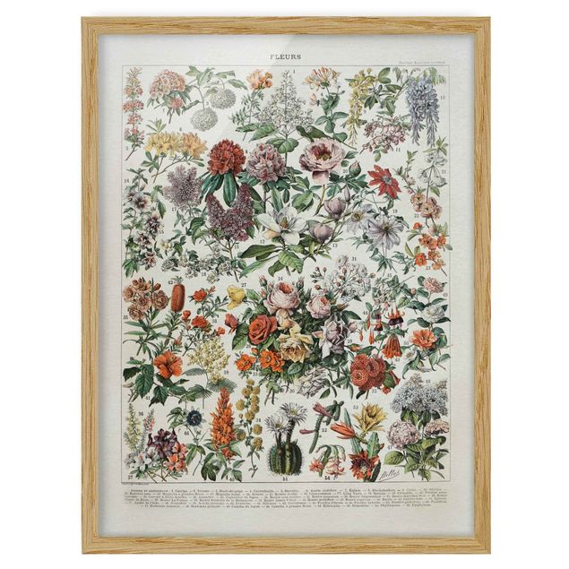 Tableau floral mural Tableau Vintage des Fleurs II