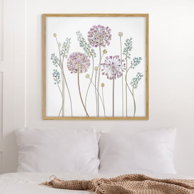 Affiches encadrées fleurs Illustration d'Allium