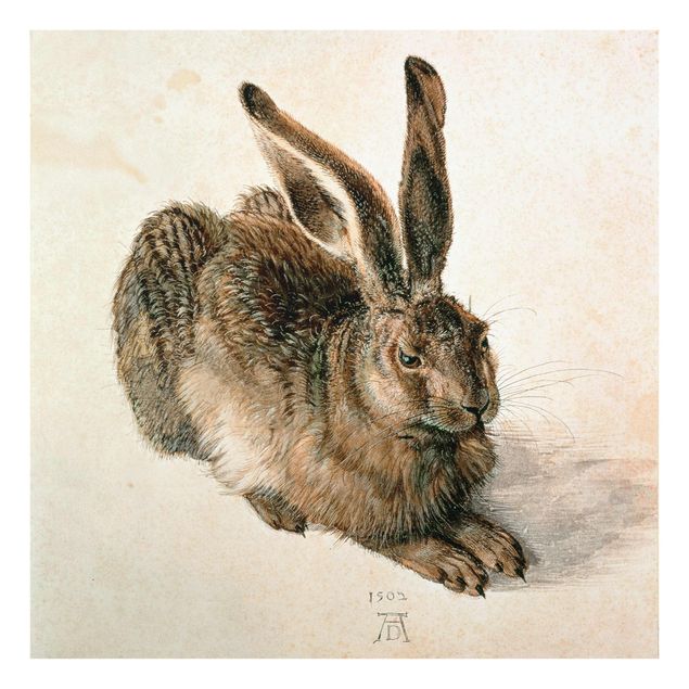 Tableau animaux Albrecht Dürer - Jeune lièvre