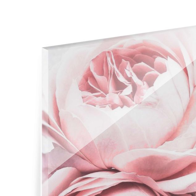 Tableau couleur rose Fleurs de Pivoine Rose Clair Pastel Shabby