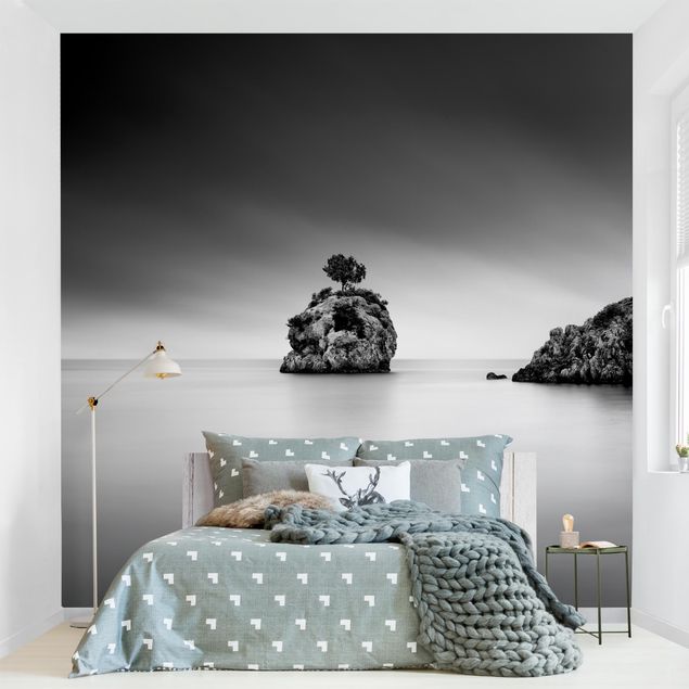 Papier peint bord de mer Île rocheuse dans la mer Noir et blanc