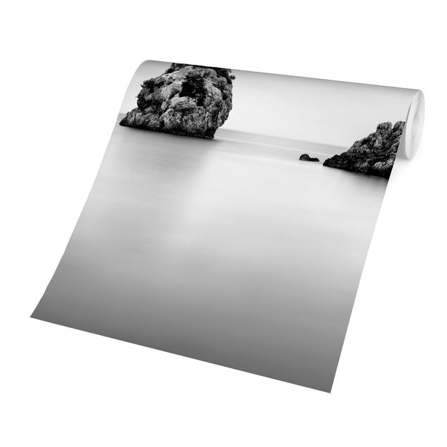 Papier peint paysage Île rocheuse dans la mer Noir et blanc