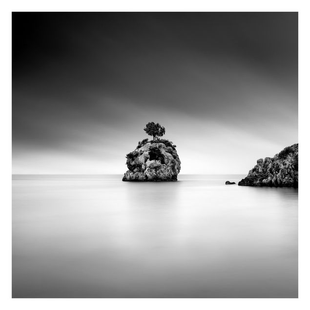 Papier peint panoramique Île rocheuse dans la mer Noir et blanc