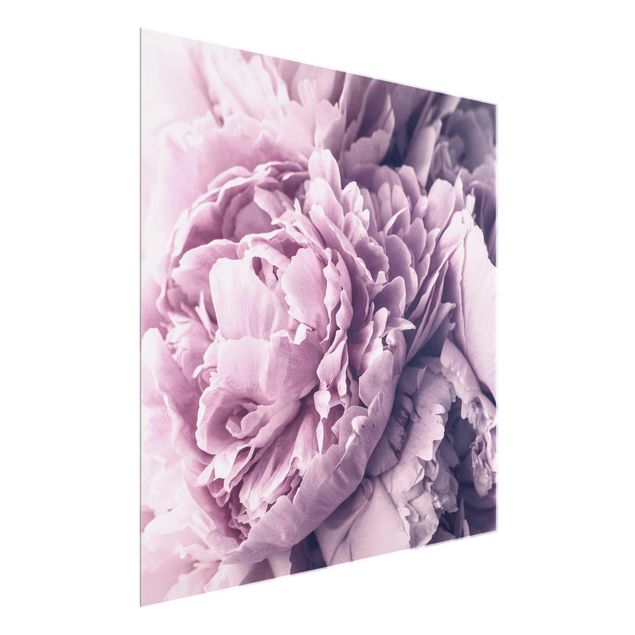 Tableaux en verre fleurs Fleurs de pivoines violettes