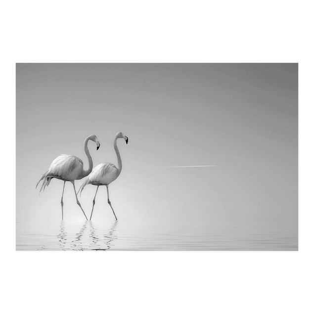 Papier peint animaux Flamingo Love Black And White