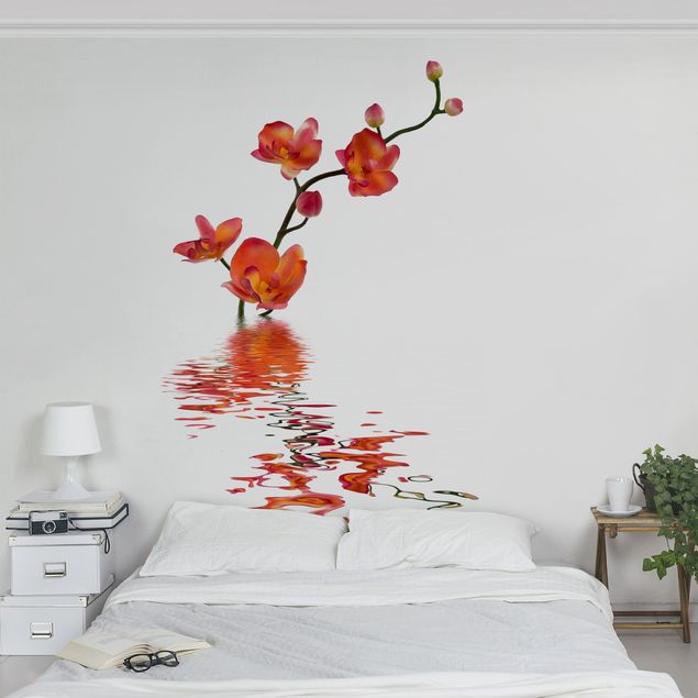 Papier peint moderne Eaux flamboyantes d'orchidées