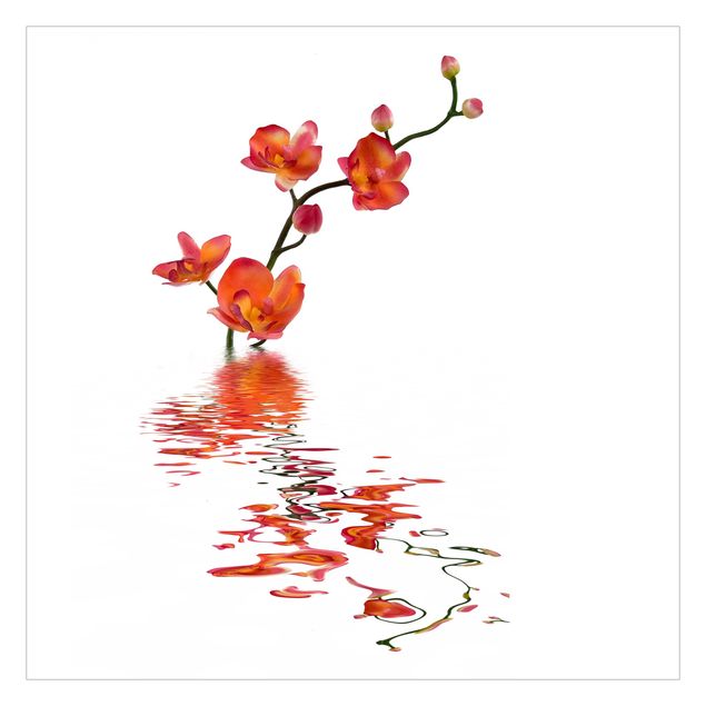 Papier peint - Flamy Orchid Waters