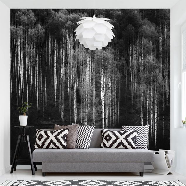 Papier peint noir et blanc Forêt de bouleaux à Aspen
