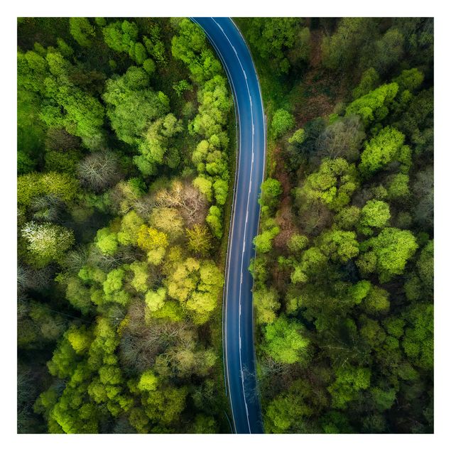 Papier peint panoramique Vue aérienne - Route asphaltée dans la forêt