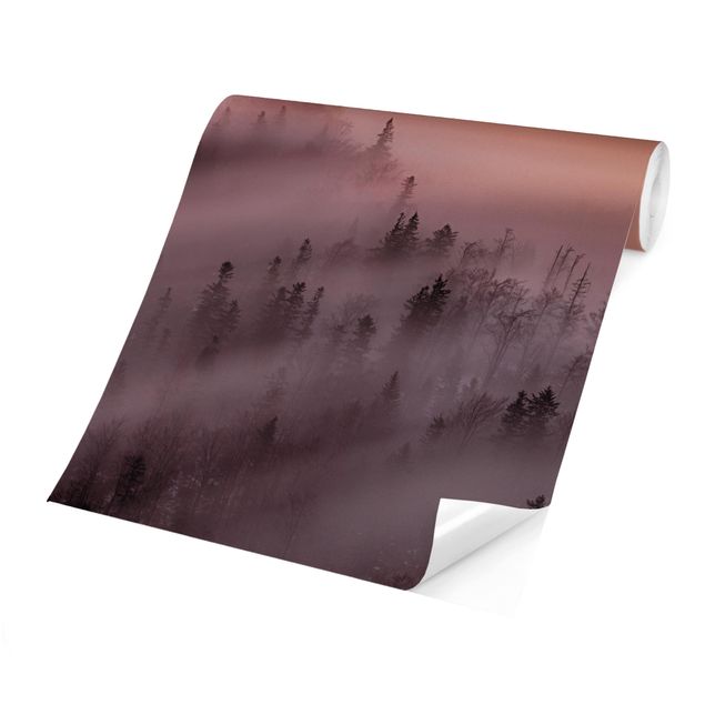 Papier peint paysage Inondation de brouillard