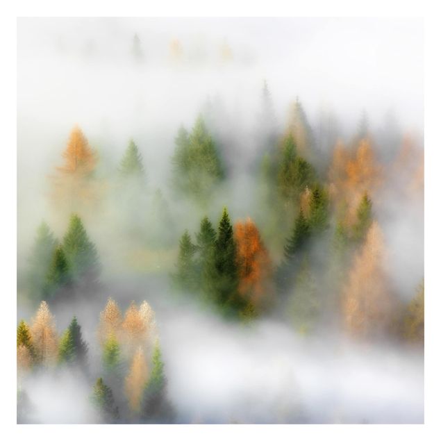 tapisserie panoramique Forêt de nuages en automne