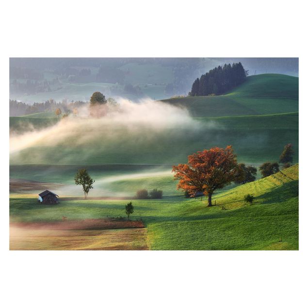Papier peint vert Journée brumeuse d'automne en Suisse