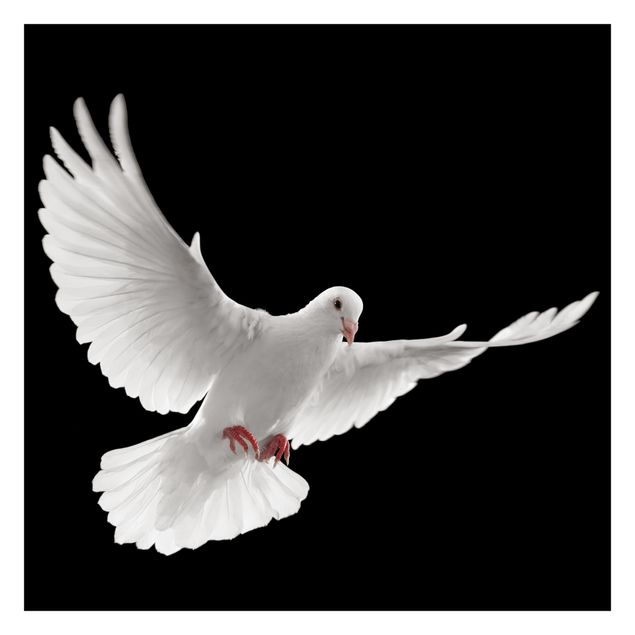 Papier peint - Dove Of Peace