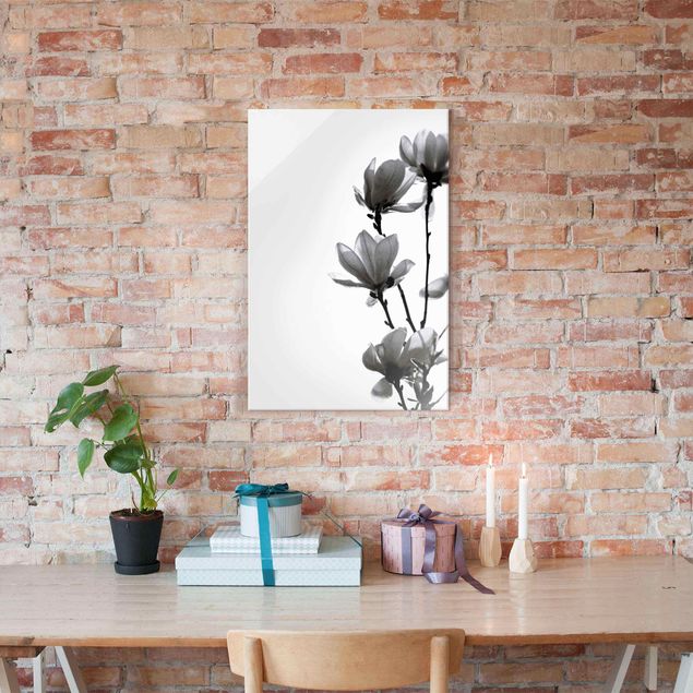 Tableaux en verre fleurs Herald du Printemps Magnolia Noir Et Blanc