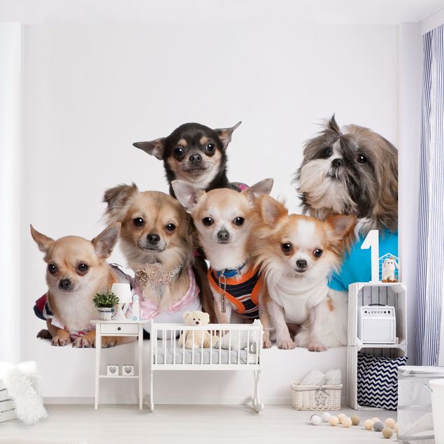 Tapisserie moderne Cinq Chihuahuas et un Shi