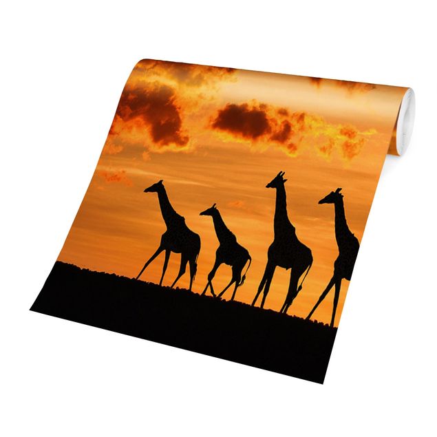 Papier peint coucher de soleil Cinq Girafes
