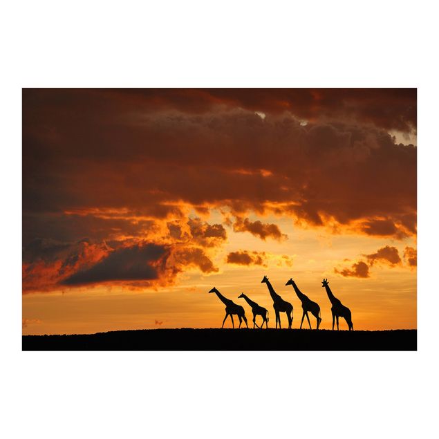 Papier peint moderne Cinq Girafes